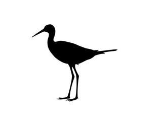 Obraz premium Birds silhouette white background 