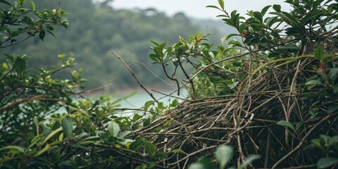 A dense thicket of leaves and twigs creates a sense of depth and texture in this close-up shot, set against a muted green background, foliage, outdoor scene