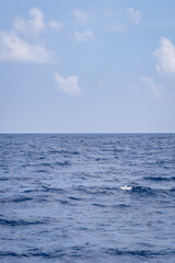 Pristine Sea View with Waves and Bright Blue Sky on Sunny Day