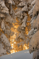 Wschód słońca w zimowy poranek © Izabela&Grzegorz