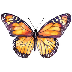 Fototapeta premium Butterfly Clipart Vector Illustration