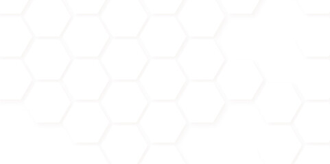 Abstract seamless honeycomb hexagon background. Geometric texture white pattern
design.
