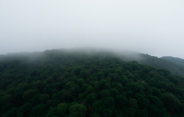 Vista aérea de uma floresta verdejante com nuvens enevoadas