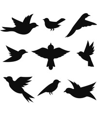 silhouettes of birds