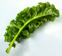 Gruenkohl roh auf weissem Fond, Gemüse, isoliert, Vitamine, Gruenkohlblatt,