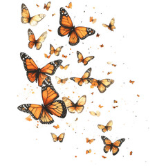 Butterfly Clipart Vector Illustration