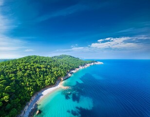 aerial view of green woods and blue sea water coastline in summer scenic beach