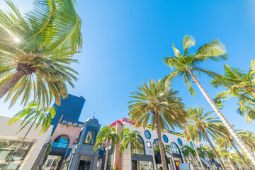 Fototapeta premium Palms trees and luxury stores in Rodeo Drive