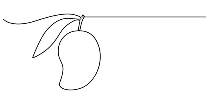 recommend clip art: Continuous one line drawing of mango. Doodle vector illustration, Continuous one line drawing of mango fruit with leaf. Mango fruit hand drawn single line art vector illustration, Continuous line draw
