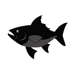 illustration of a fish