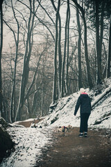 Obraz premium Teenage Girl Enjoying a Peaceful Walk with Her Jack Russell Terrier in a Beautiful Sunlit Winter Forest