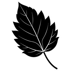 leaf silhouette vector