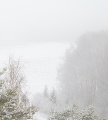 Winter landscape from a bird's eye view..by Lake Siver, Latvia, Latgale.