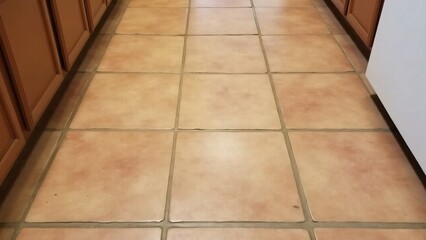 Clay tiles with cracks, chips, discoloration, and worn areas from frequent use and age.