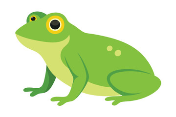 Green Frog Cartoon on Lily Pad
