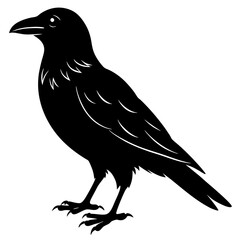 Crow  silhouette vector illustration