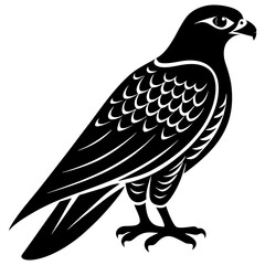 Falcon silhouette vector illustration