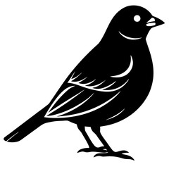 Finch  silhouette vector illustration