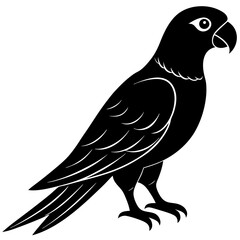 Parrot  silhouette vector illustration