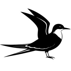  Tern  silhouette vector illustration