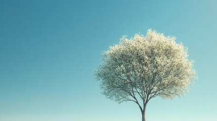Solitary blossoming tree against clear blue sky in tranquil scene