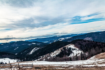 Fototapeta premium Landscapes - Forest - Europe, Romania, Suceava region 