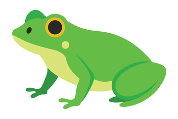 Green Frog Cartoon on Lily Pad
