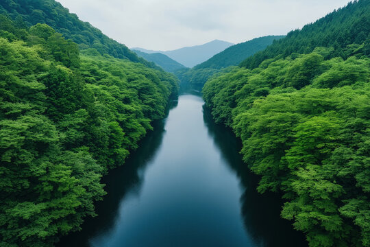 Serene river surrounded by lush green forest in mountainous region during daytime - Powered by Adobe