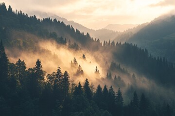Golden mist flowing over majestic mountain forest at sunrise