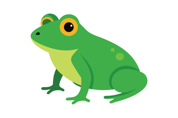 Fototapeta premium Green Frog Cartoon on Lily Pad 
