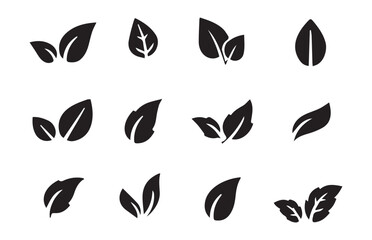 Plant vector collection, diverse leaf shapes, natural elements. Leaf Icons and Symbols. Vector illustration EPS 10