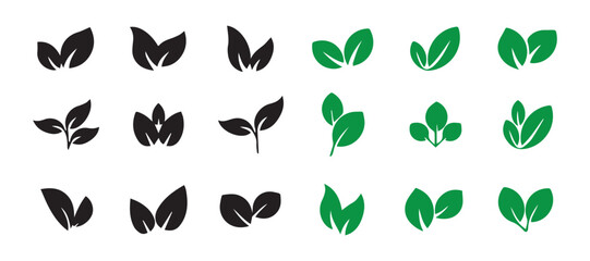 Plant vector collection, diverse leaf shapes, natural elements. Leaf Icons and Symbols. Vector illustration EPS 10