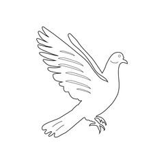 Pigeon with black line art illustration vector on white background.