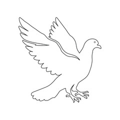Pigeon with black line art illustration vector on white background.