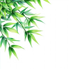 Fototapeta premium Bamboo Leaves Isolated