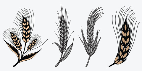  wheat, barley, ear, isolated, corn, millet, field, brewery, leaf, pattern, food, nature, grass, autumn, farm, bread, silhouette, cooking, agriculture, plant, doodle, rice, healthy, bakery, natural, o