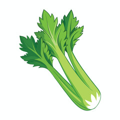 Fototapeta premium celery isolated on white