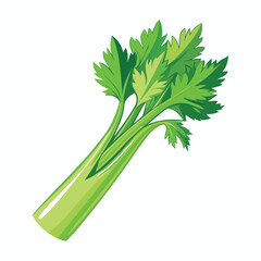 Fototapeta premium green fresh celery isolated on white background