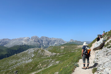 Fototapeta premium young mountain hiker with a backpack on his shoulders and a hat on his head walking on the mountain trail in summer