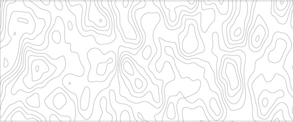 Seamless Abstract lines background. Contour maps. Vector illustration, Topo contour map on white background. 
