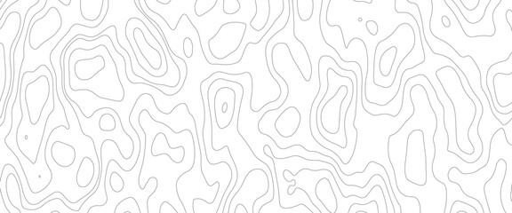 Seamless pattern with lines Topographic map. Geographic mountain relief. Abstract lines background. Contour maps. Vector illustration, Topo contour map on white background. 