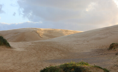 sand dunes with sparse vegetation and no people