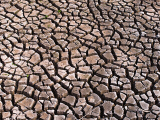 Cracked dry earth or mud environmental background texture pattern conceptual of drought and natural disaster
