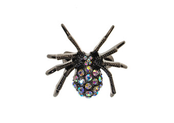 spider necklace isolated on a white