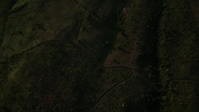Drone Aerial of Zomba Massif, Malawi at Sunrise
