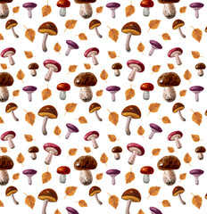 Seamless pattern of watercolor illustrations of forest mushrooms, gifts of nature on a white background