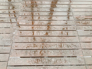 The image features a wet wooden surface with horizontal slats, possibly after rainfall, reflecting...