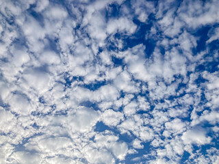 Image of a sky filled with fluffy, dense cumulus clouds, varying in size and scattered across the blue sky