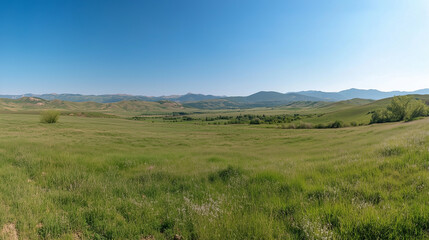 Obraz premium Panoramic Countryside with Rolling Green Hills and Bright Sunny Fields in a Tranquil Rural Landscape