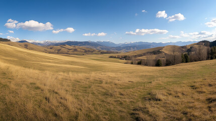 Fototapeta premium Panoramic Countryside with Rolling Green Hills and Bright Sunny Fields in a Tranquil Rural Landscape